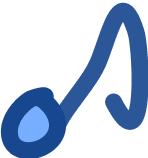Music icon